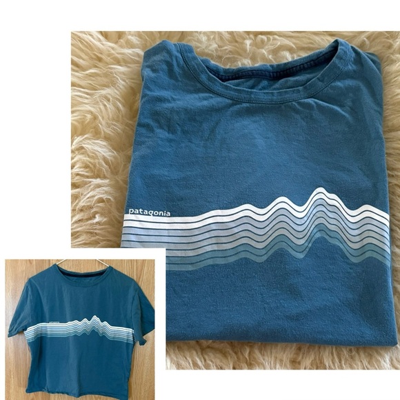 Patagonia Teal Wave Graphic Crew Neck Oversized Cropped Tee Top - Picture 1 of 5